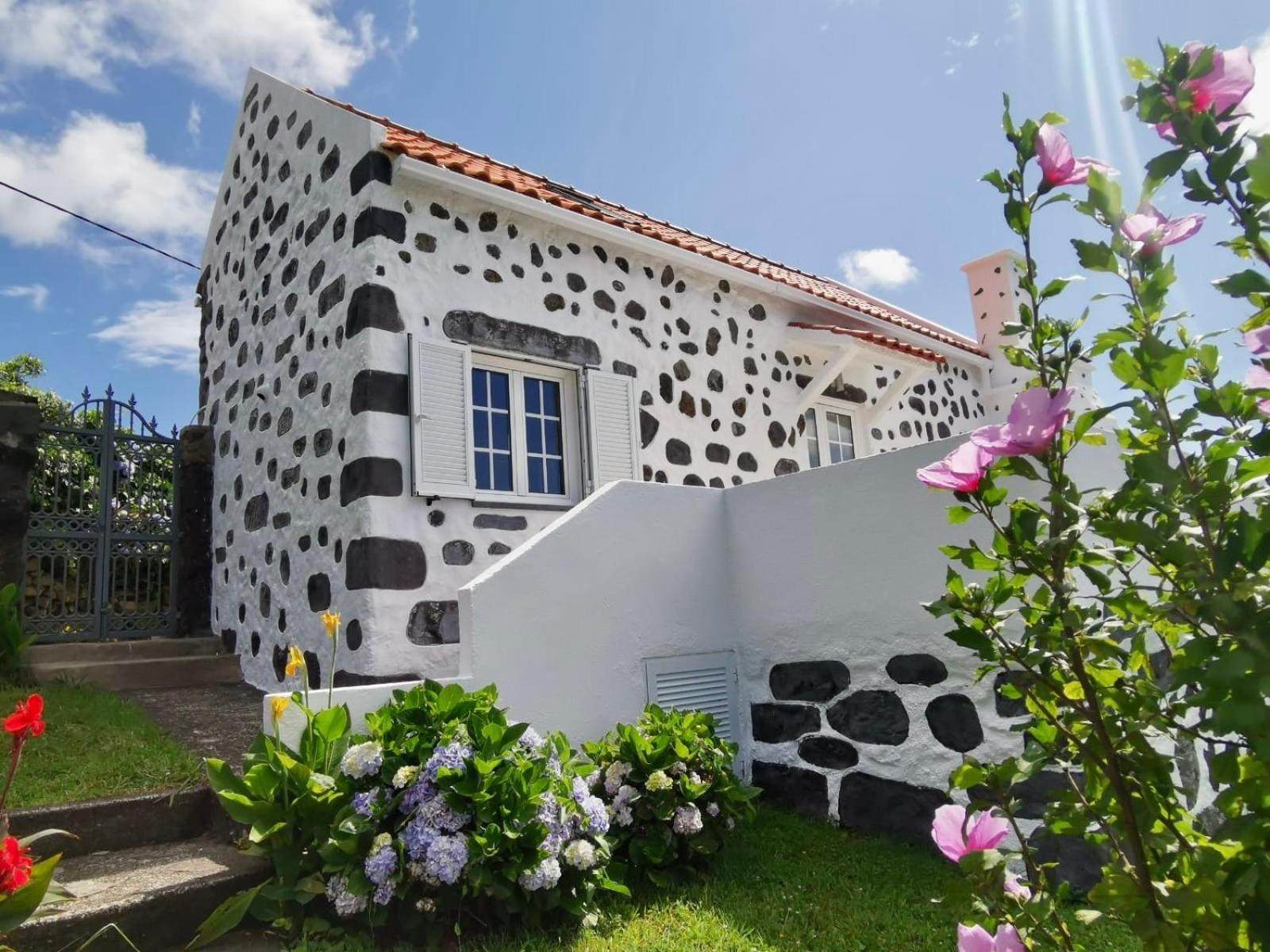 Vivenda Flores - Casa Hortensia Lomba  Exterior foto